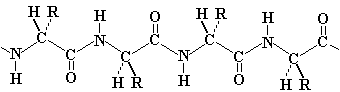 extended peptide chain